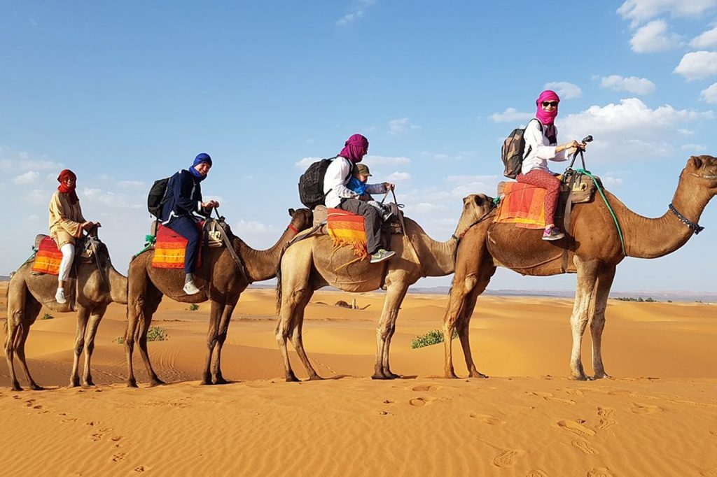 Camel Trekking in Sahara Desert
